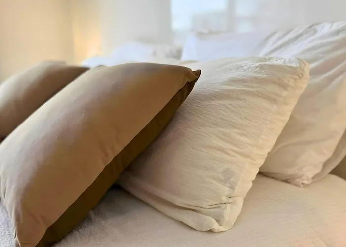 Neuf Avec Terrasse Et Piscine Proche Plages De Appartement Torrevieja