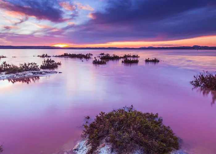 Appartement Neuf Avec Terrasse Et Piscine Proche Plages De *